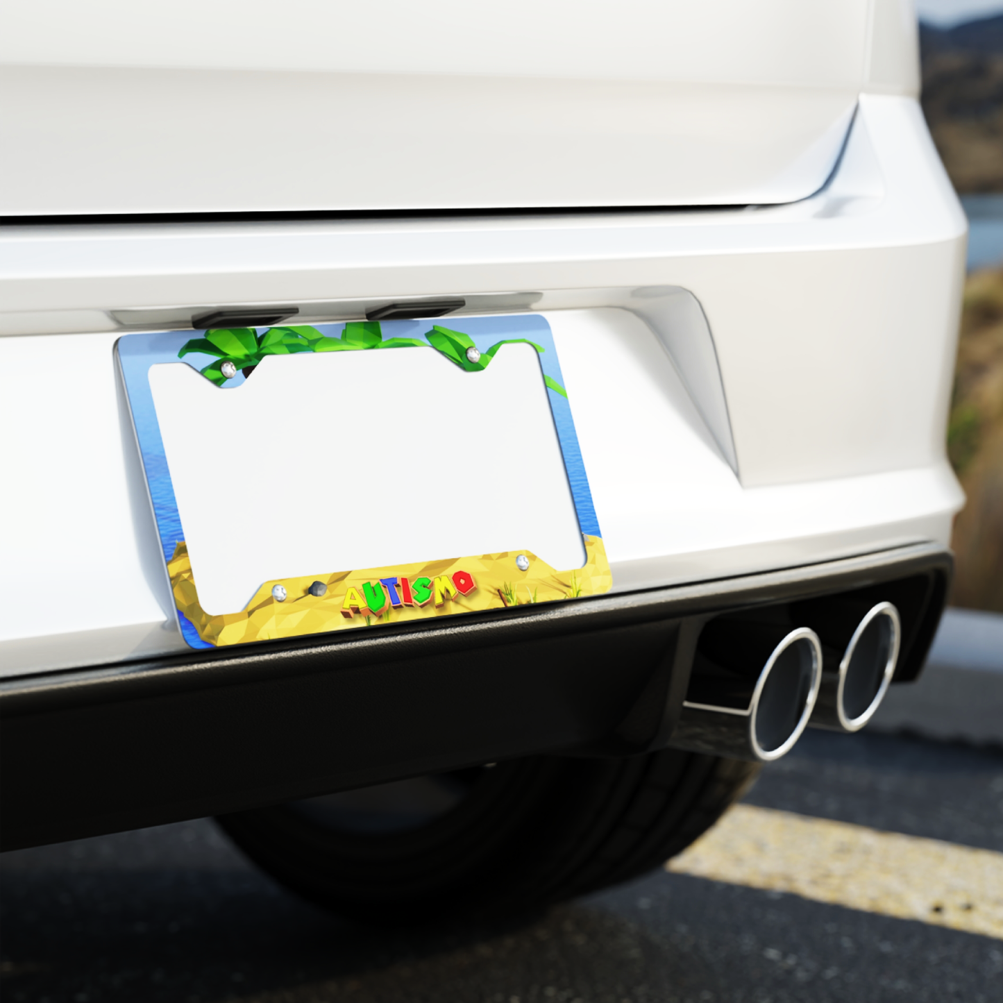 License Plate Frame