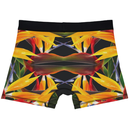 Boxers