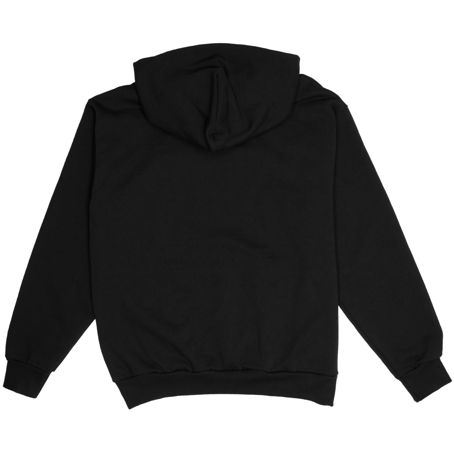 PSA Hoodie